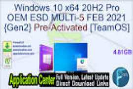 Windows 10 X64 20H2 Pro OEM ESD MULTi-7 FEB 2021 {Gen2}